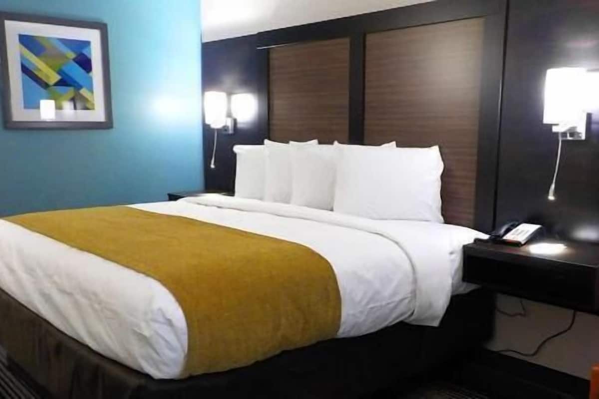 Une chambre d’hôtel avec un lit, une table de chevet, une lampe et un tableau encadré au mur.