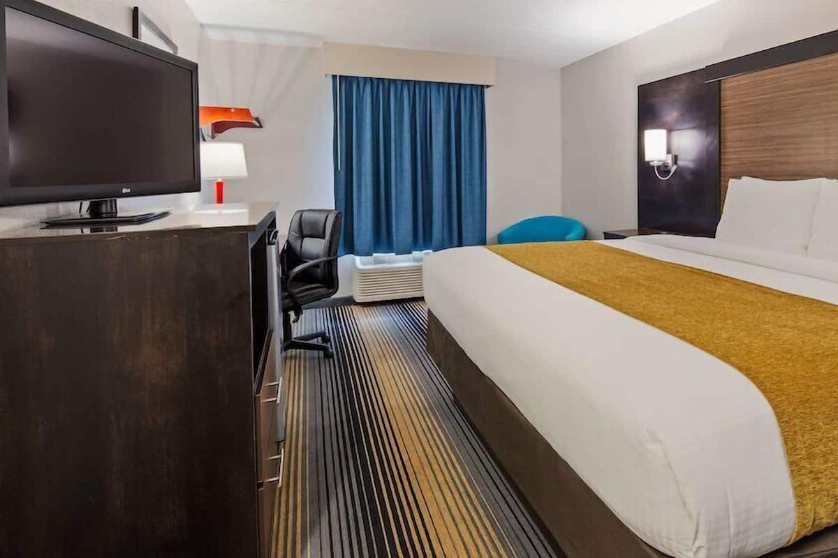 Une chambre d’hôtel comprenant un lit, un bureau avec une télévision, une chaise, une lampe de bureau et une fenêtre avec des rideaux.