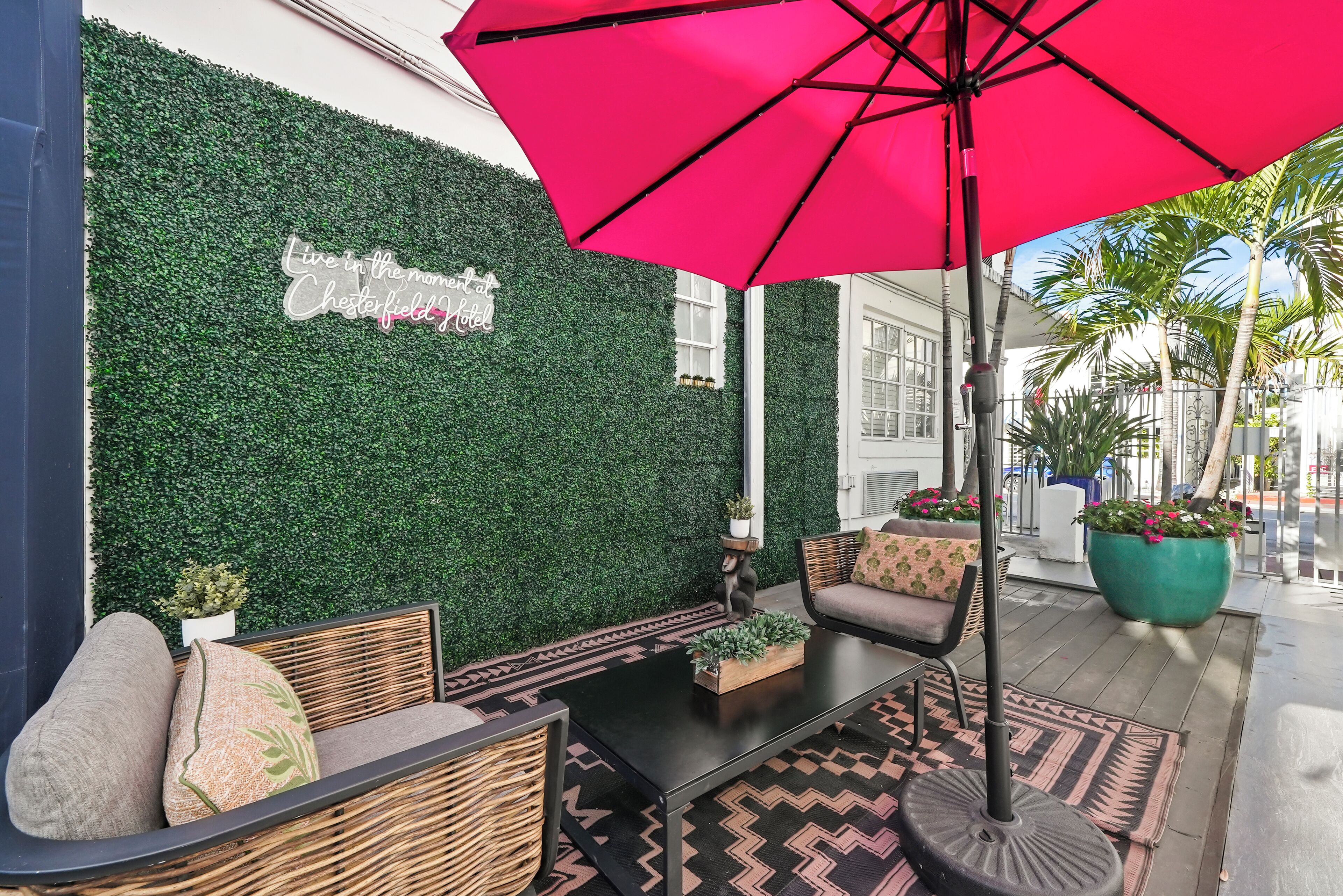 Terraza o patio