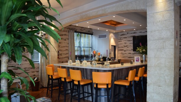 A bar area with a long counter, multiple orange bar stools, and a large potted plant.
