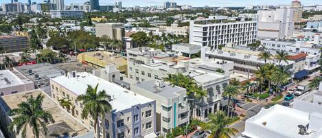 A cityscape with a mix of modern and older buildings, palm trees, and a clear sky.