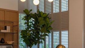 A modern living room with a sectional sofa, a round coffee table, a large potted plant, and a bookshelf. - Nassau Suite South Beach, an All-Suite Hotel (Miami Beach)