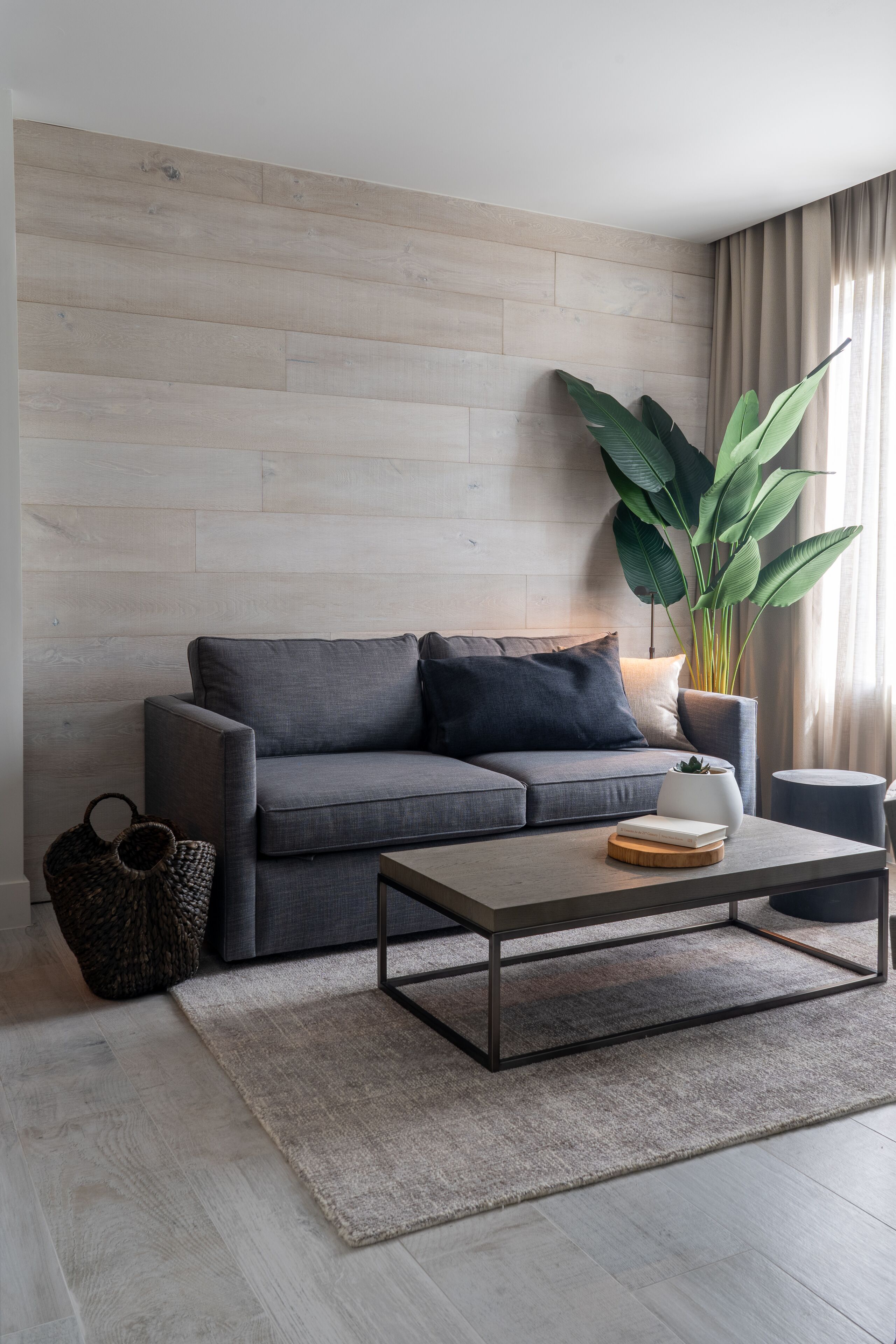 A modern living room with a grey sofa, a coffee table, a large plant, and a woven basket.