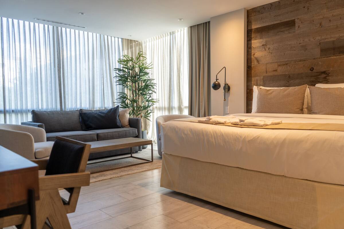 A modern bedroom with a large bed, a sofa, a dining table, and a potted plant.