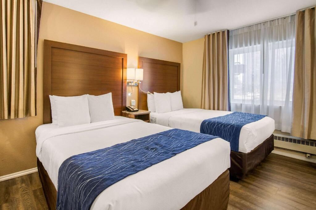 Premium bedding, down duvets, pillow-top beds, in-room safe