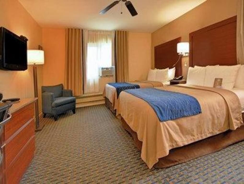 Premium bedding, down duvets, pillow-top beds, in-room safe
