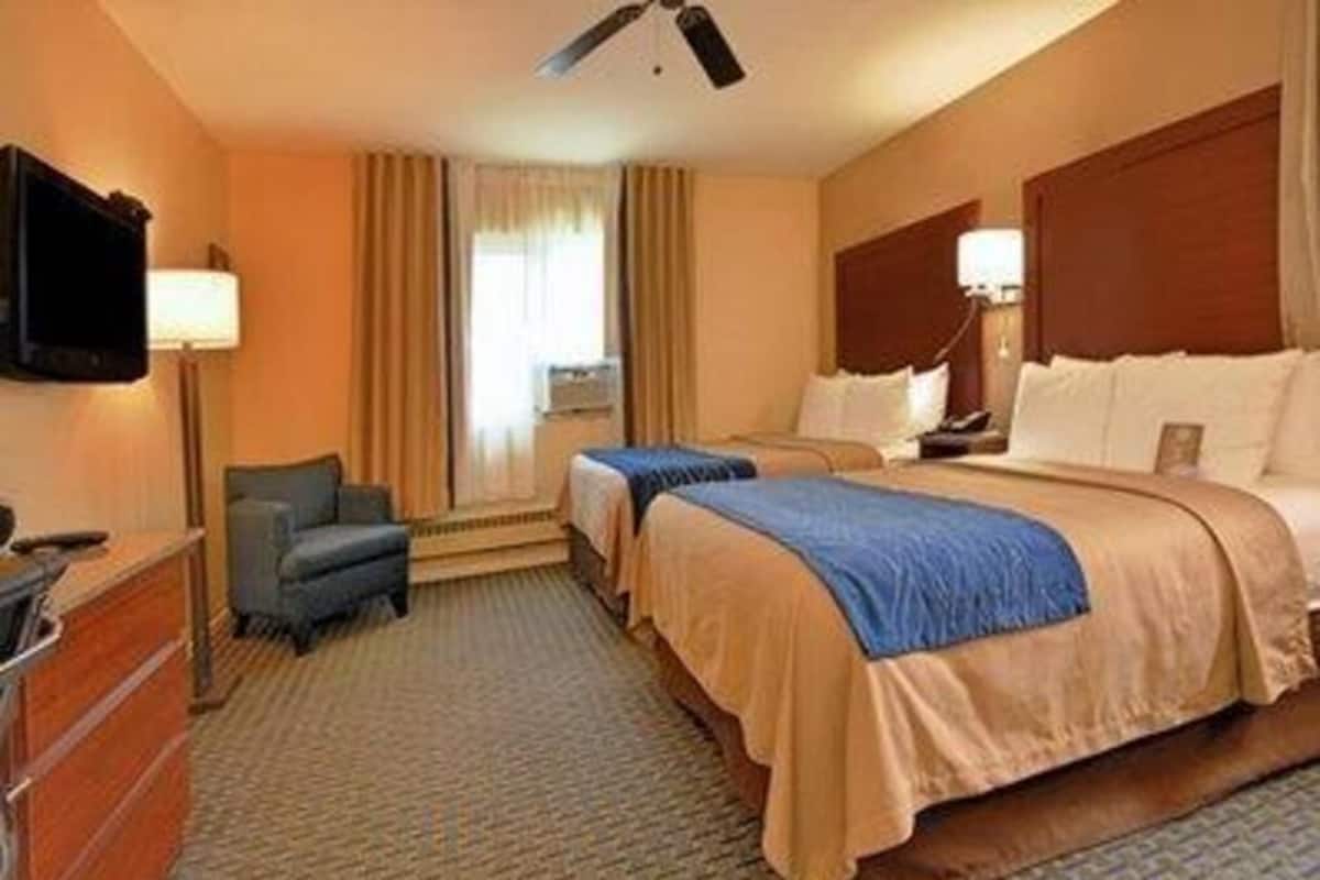 Premium bedding, down duvets, pillow-top beds, in-room safe