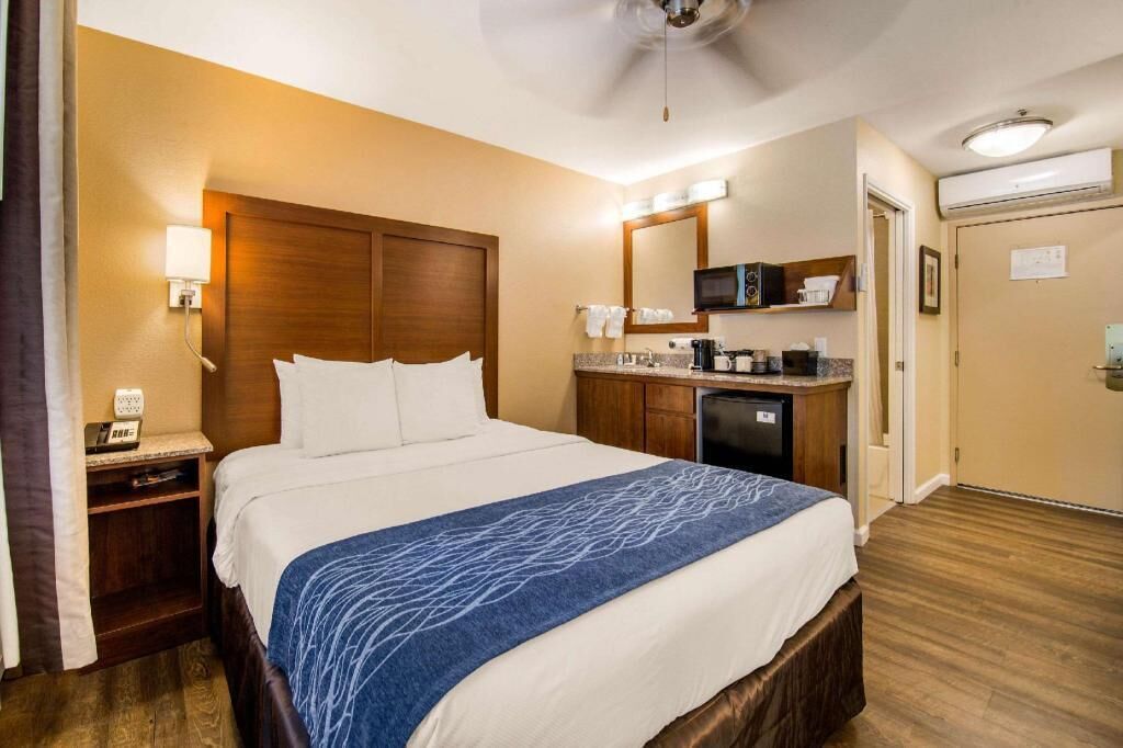 Premium bedding, down duvets, pillow-top beds, in-room safe