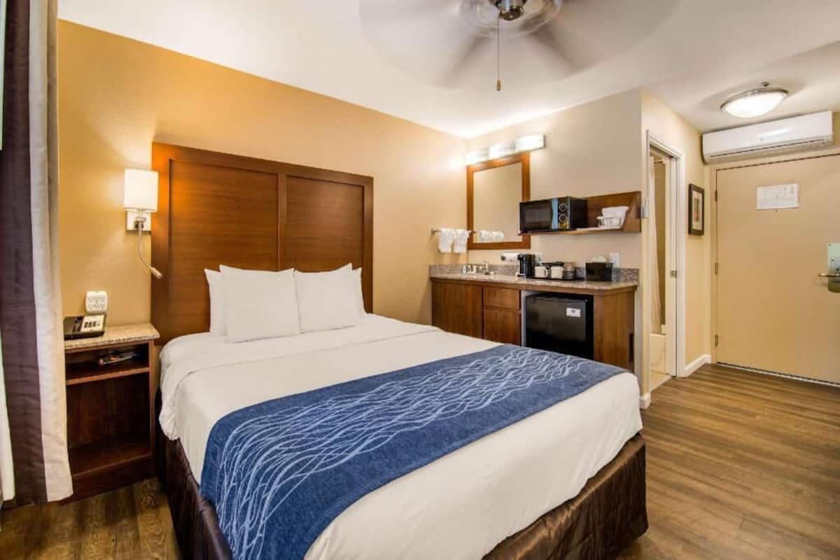 Premium bedding, down duvets, pillow-top beds, in-room safe