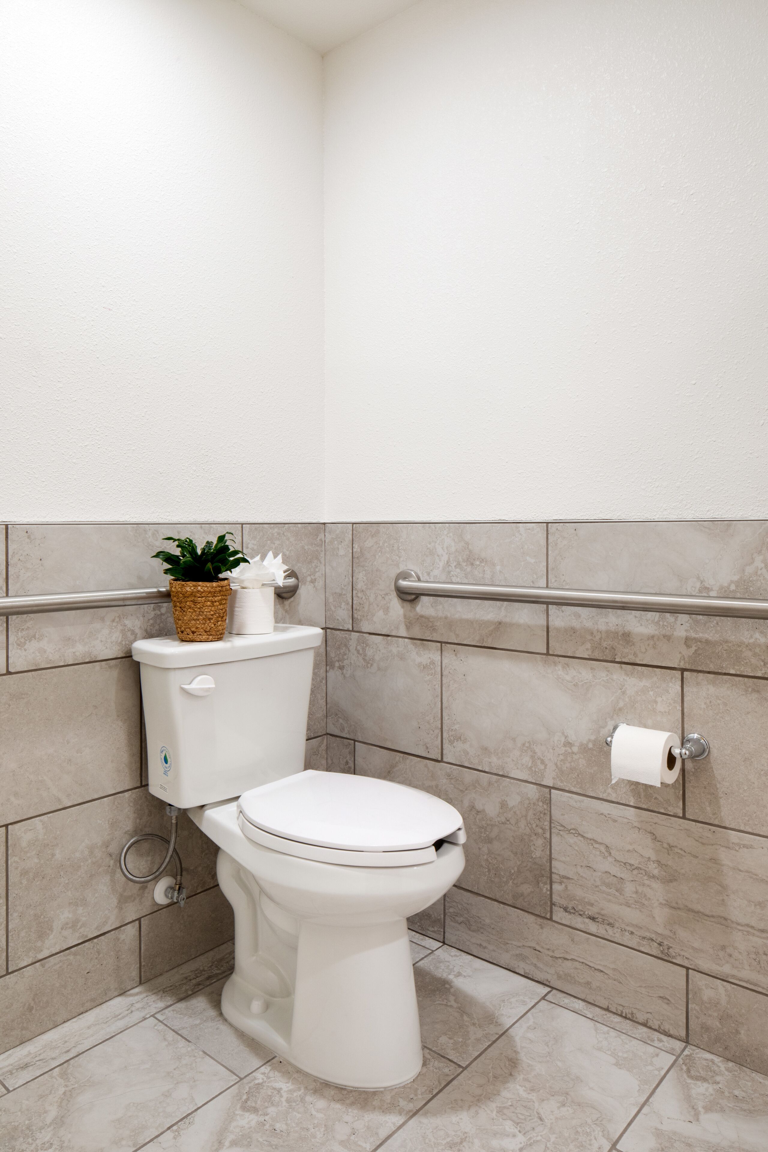 Un bagno moderno con il water bianco, un mancorrente, una pianta in vaso e un portasciotto.