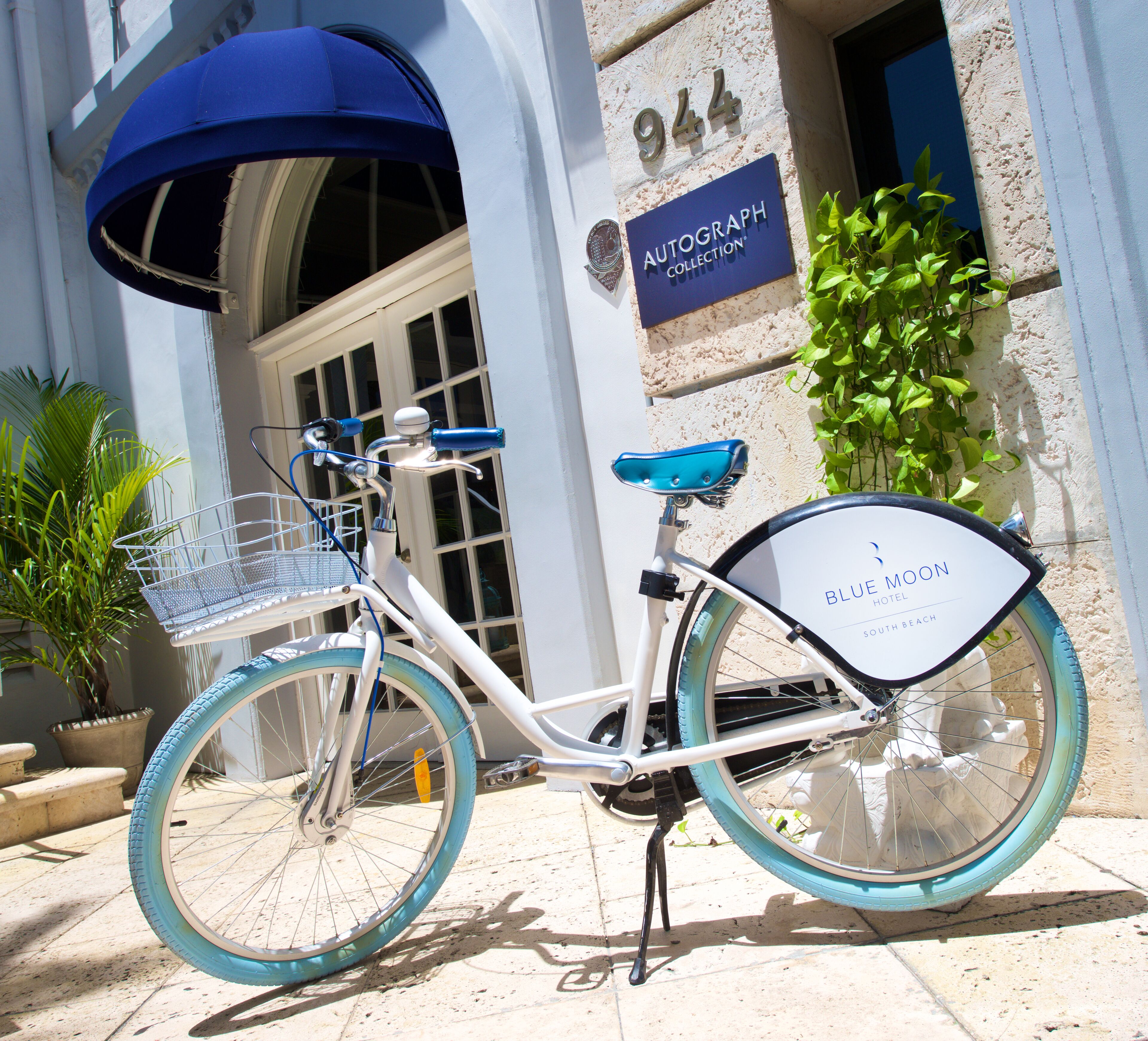 Photo - Blue Moon Hotel