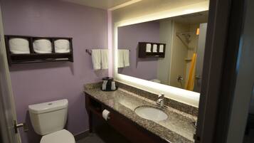 Bagno con WC, lavabo e specchio. Asciugamani a parete e ripiano sopra il lavabo.