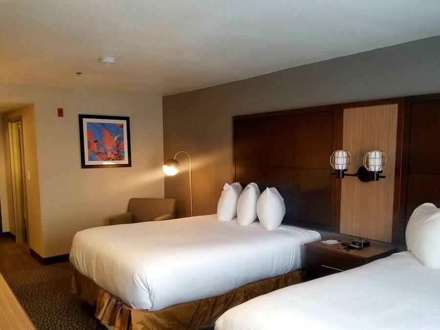 Standard Double Room, 2 Double Beds | Premium bedding, in-room safe, desk, laptop workspace