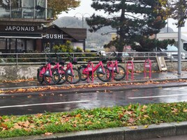 Ciclismo