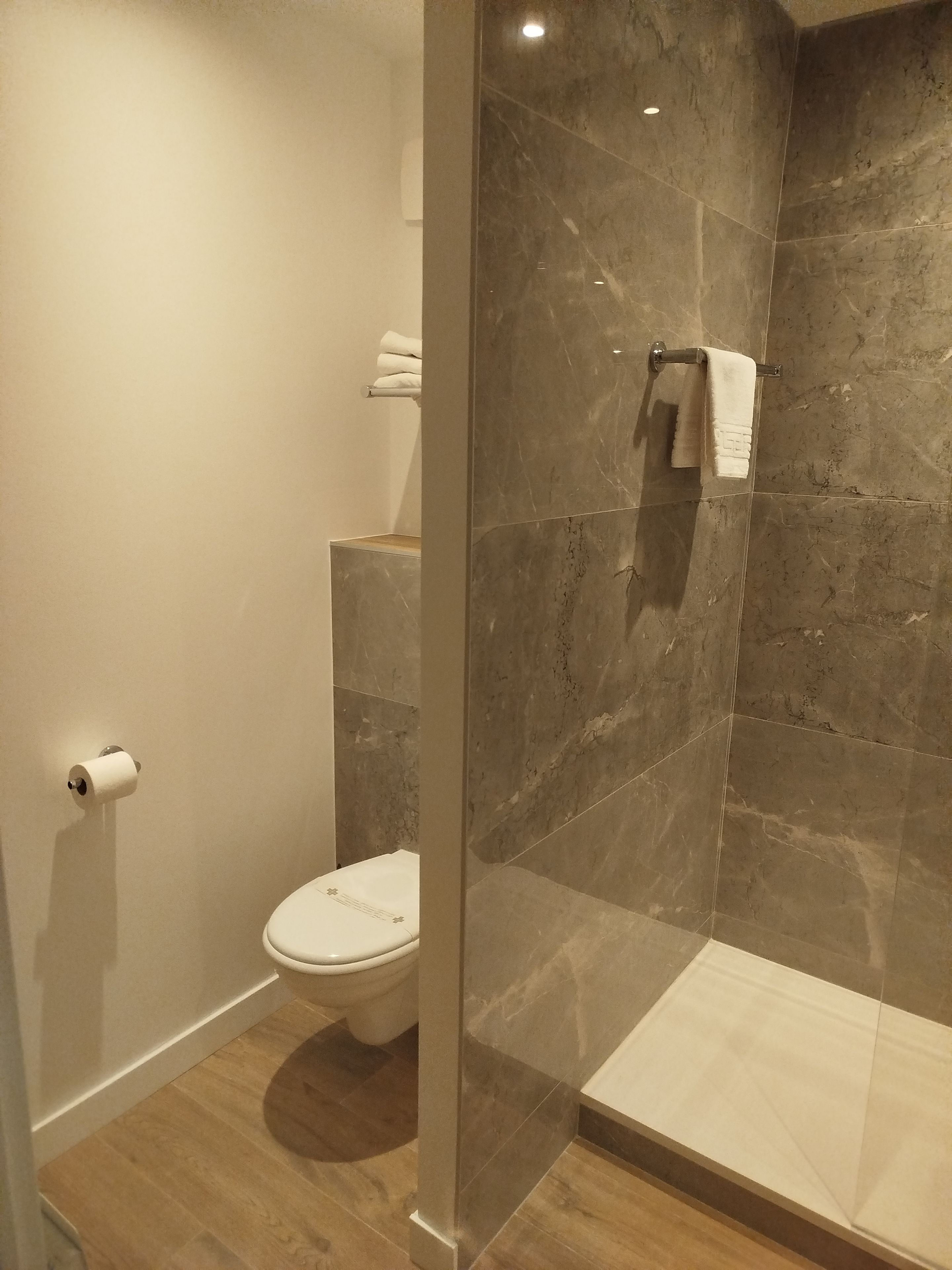 Un baño con inodoro, ducha con puerta de cristal y toallero.