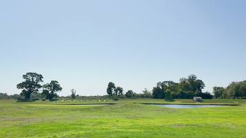 Ein Golfplatz mit Teich, Bäumen und dem Schriftzug "MARGAUX" im Gras.