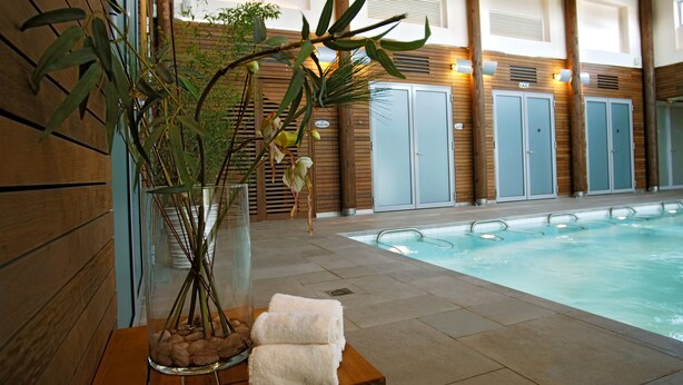 A spa area with a pool, wooden walls, and a glass vase with plants. - Relais de Margaux – Hôtel, Golf & Spa (Margaux-Cantenac)