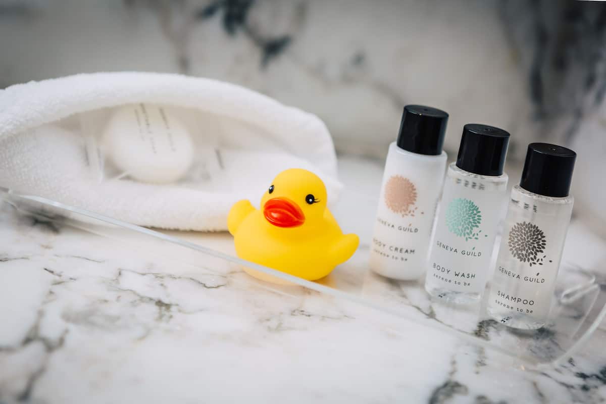 combined shower/bathtub, free toiletries, hair dryer, towels