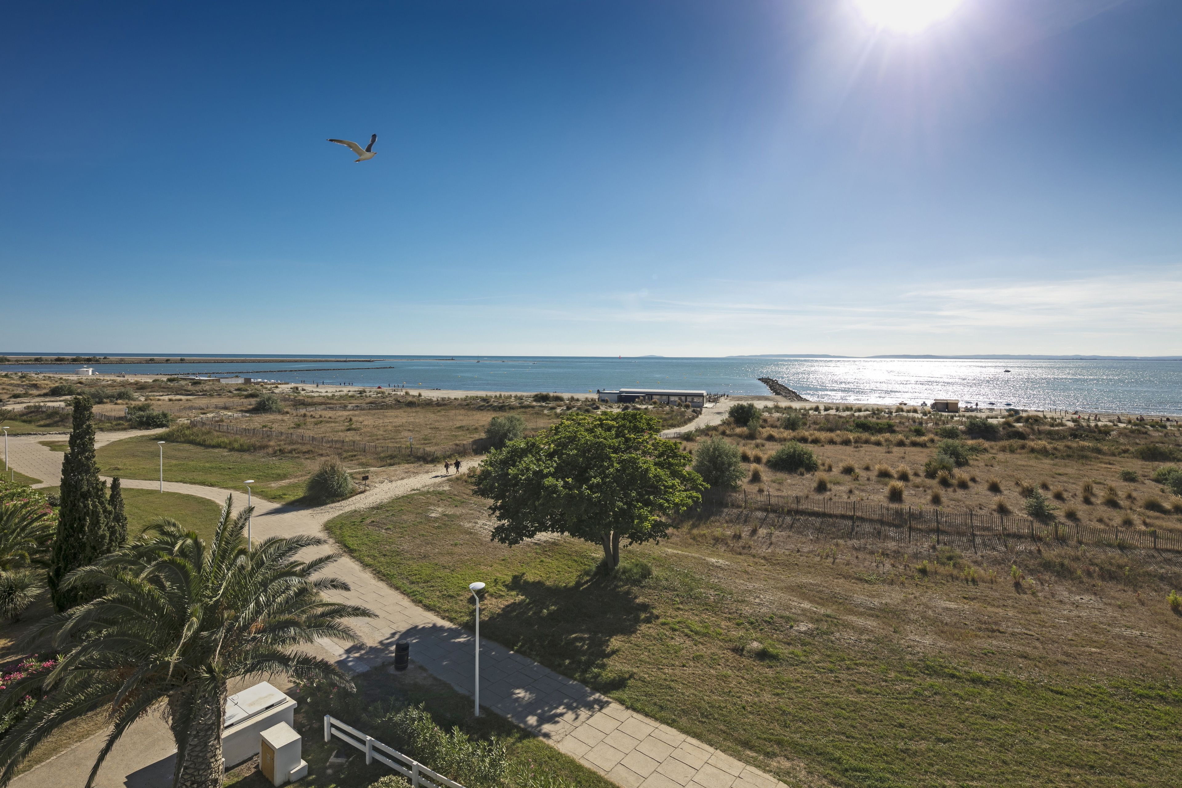 Eine Küstenlandschaft mit blauem Himmel, einem Weg zum Strand und einem Vogel, der darüber fliegt.