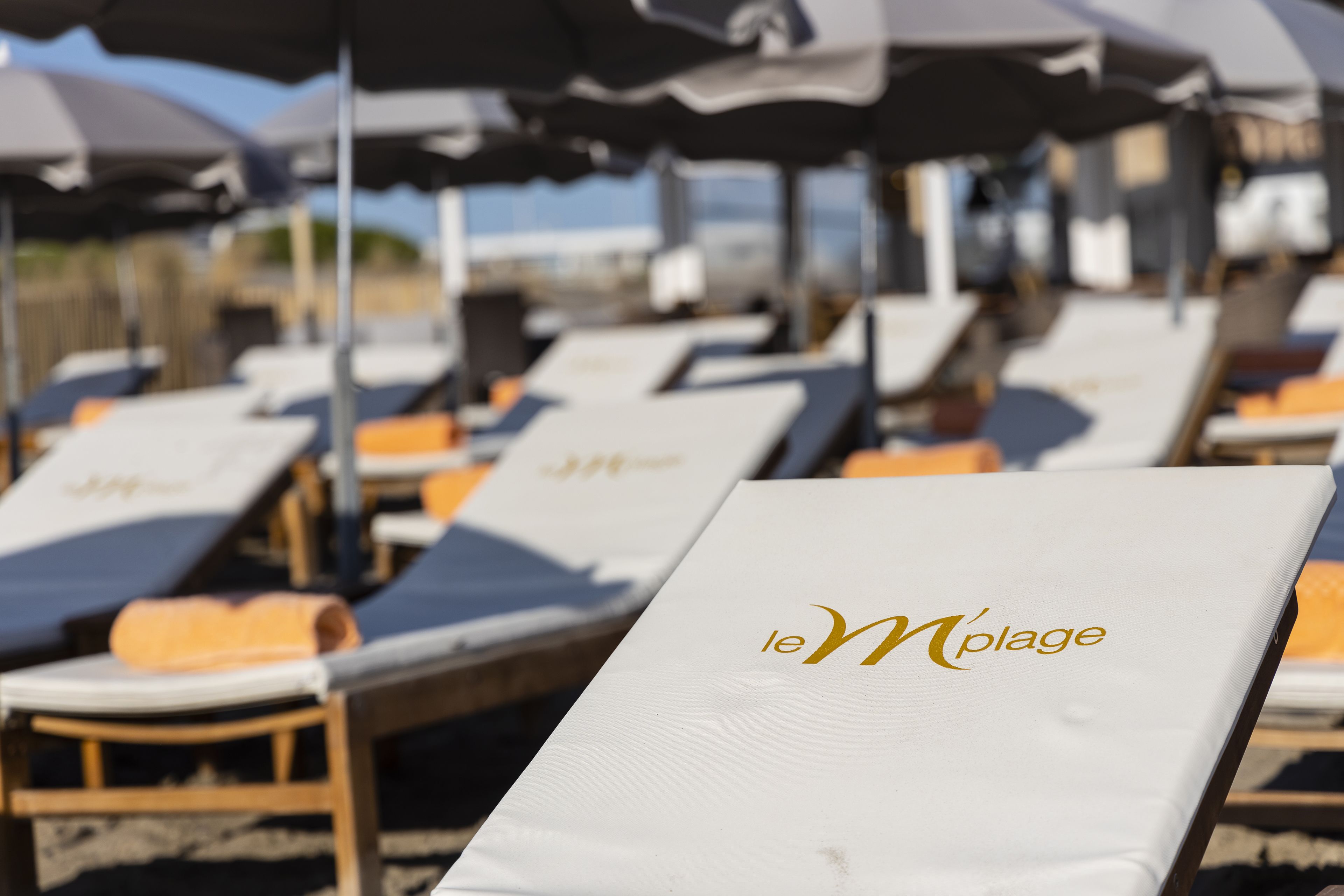A row of sun loungers with 'le M' branding, arranged under umbrellas on a sandy beach.