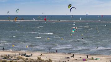 Una playa con varios cometas y equipo de windsurf.