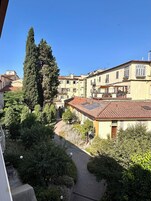 Un cortile con edifici, un albero alto e un vialetto.
