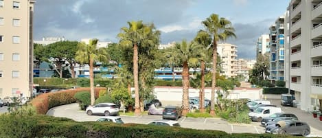 A parking lot with several cars, surrounded by palm trees and a hedge.