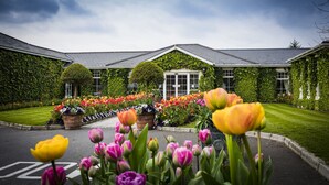 A building with a green ivy-covered exterior, a well-maintained lawn, and a flower garden with tulips. - The Keadeen Hotel (Newbridge)