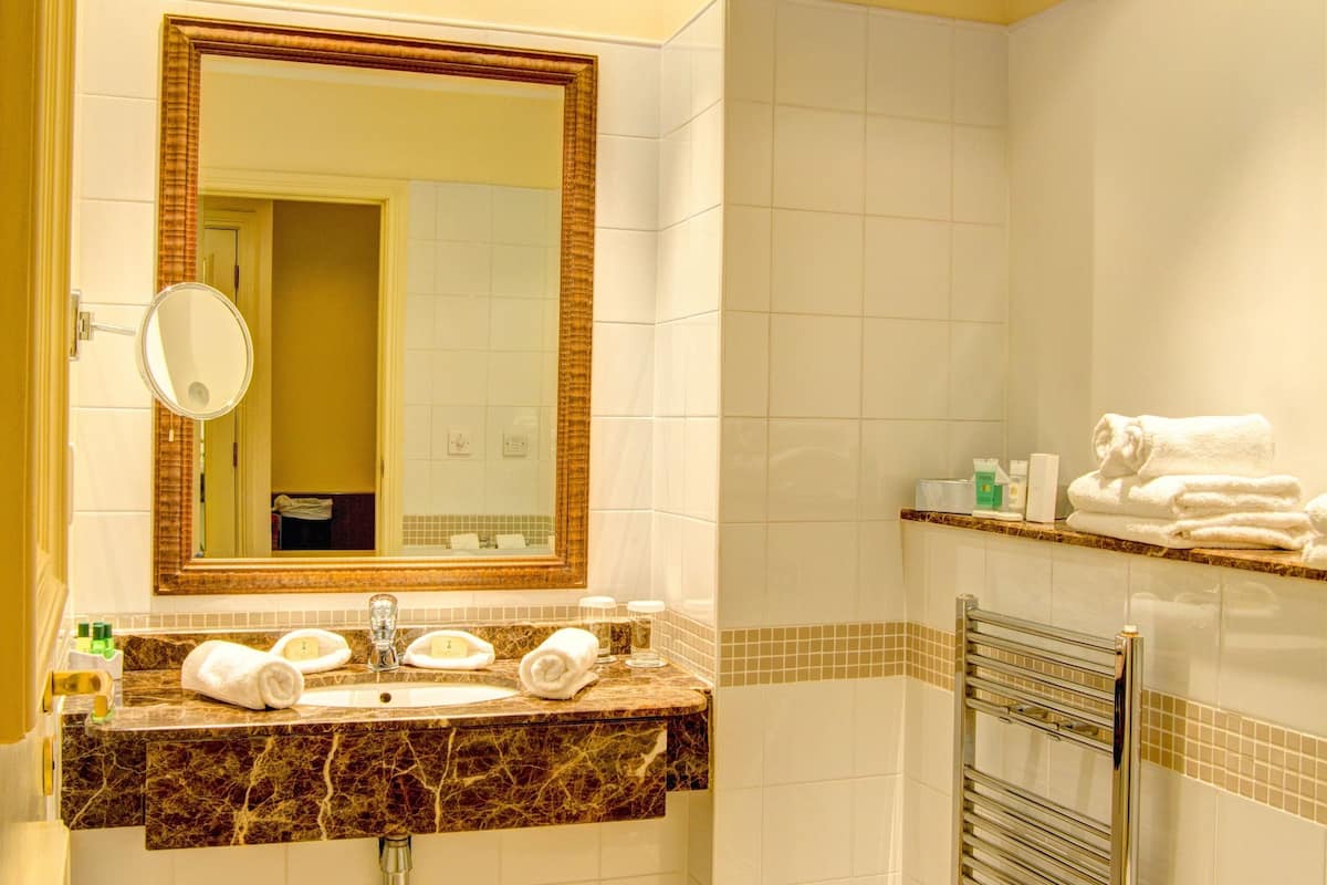 combined shower/bathtub, free toiletries, hair dryer, towels
