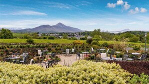 Un área de estar al aire libre con mesas y sillas, rodeada de exuberante vegetación y una vista de la montaña en la distancia.