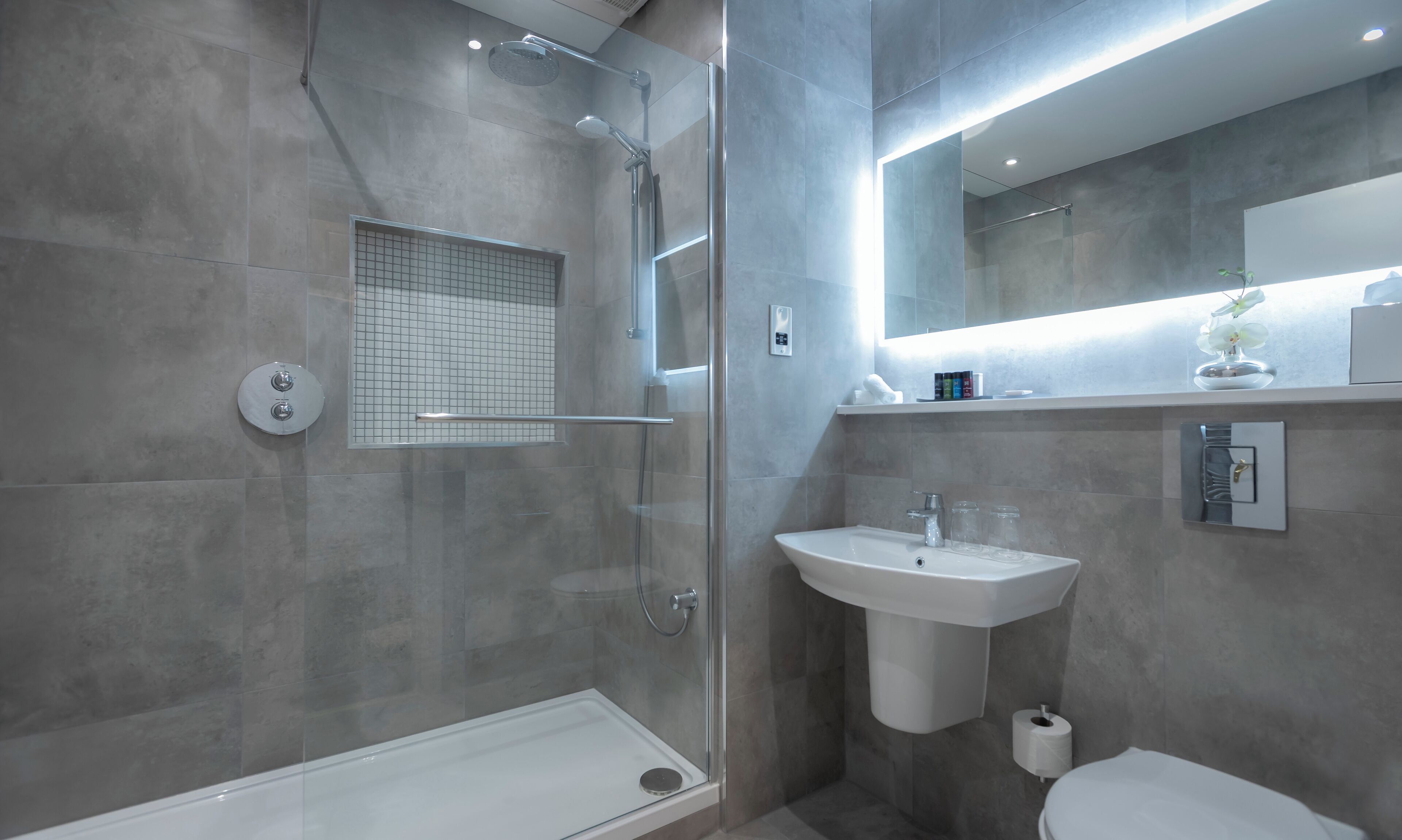 deluxe room, 1 king bed | bathroom | combined shower/bathtub, deep-soaking bathtub, free toiletries