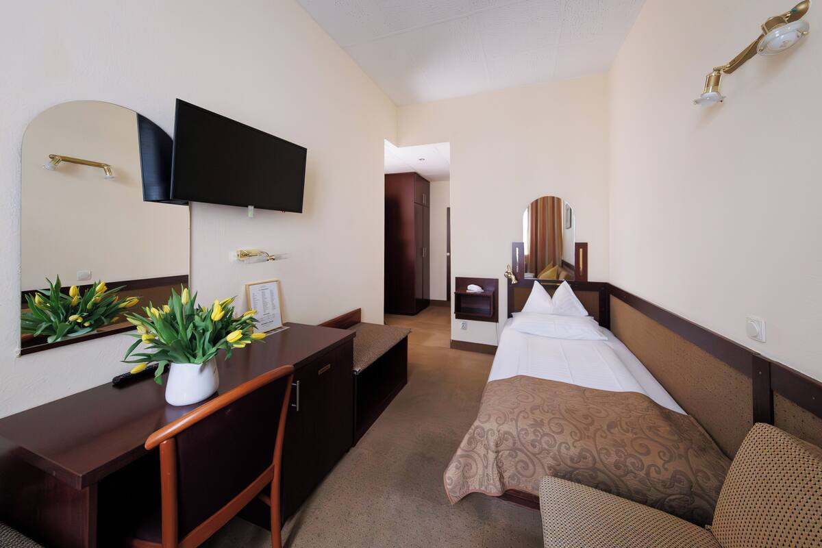 A hotel room with a bed, a desk, a chair, a television, a mirror, and a potted plant.