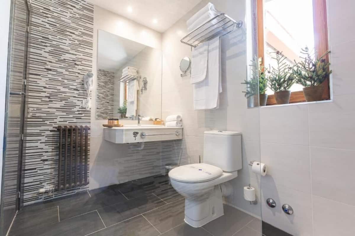 Kostenlose Toilettenartikel, Haartrockner, Handtücher
