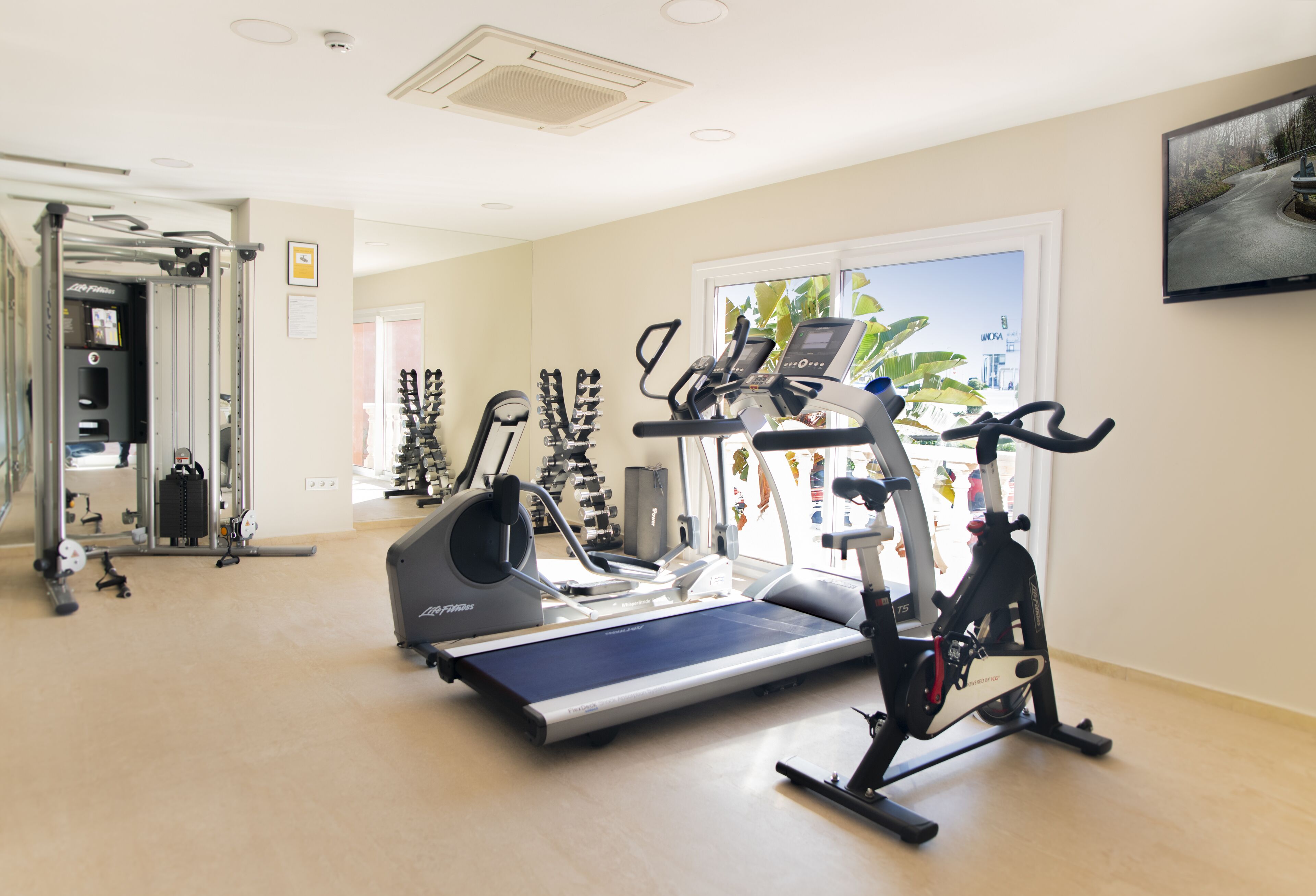 A gym with cardio machines, weight equipment, and a large window with a view of greenery.