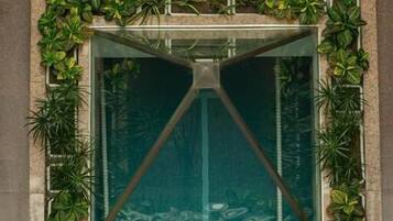 Une piscine à fond de verre, entourée d’un jardin planté de différentes espèces végétales.