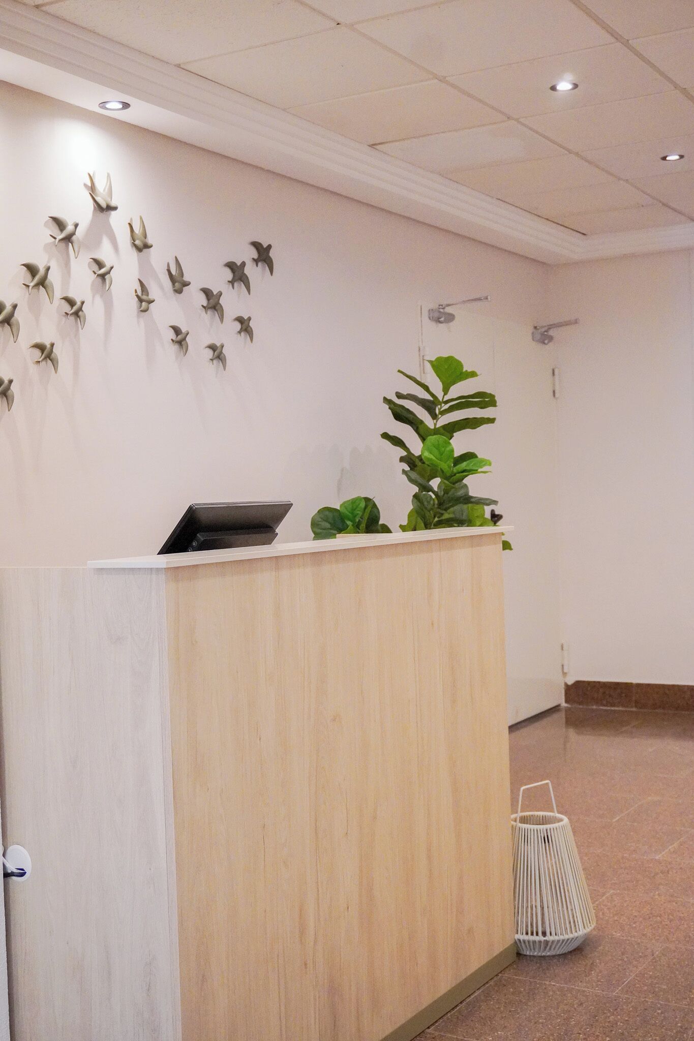 A reception desk with a laptop, a potted plant, and wall-mounted bird decorations.