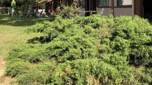 Un bâtiment doté d’un patio couvert, d’un grand arbre et d’arbustes bien entretenus.