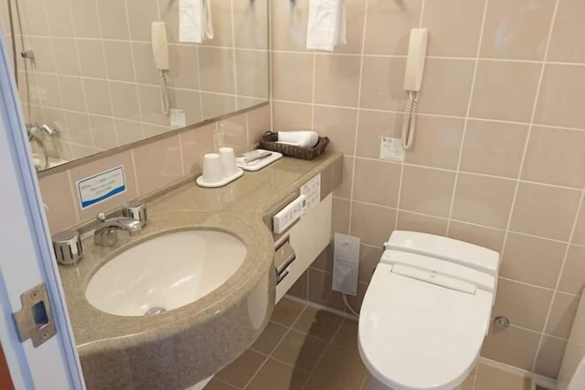 Combined shower/tub, free toiletries, hair dryer, slippers