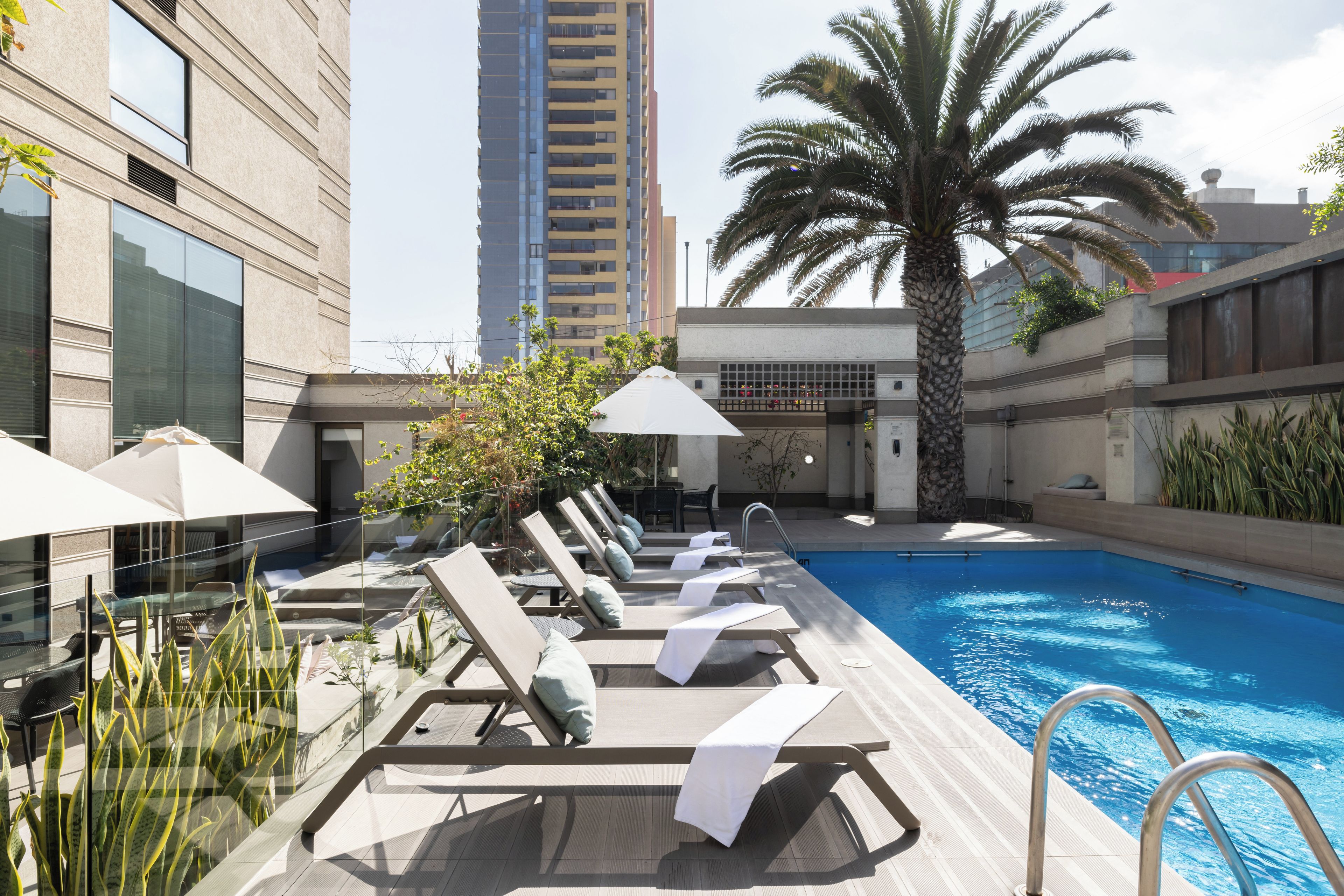 Zona de piscina en la azotea con sillones de descanso y sombrillas, rodeada de edificios y una palmera.