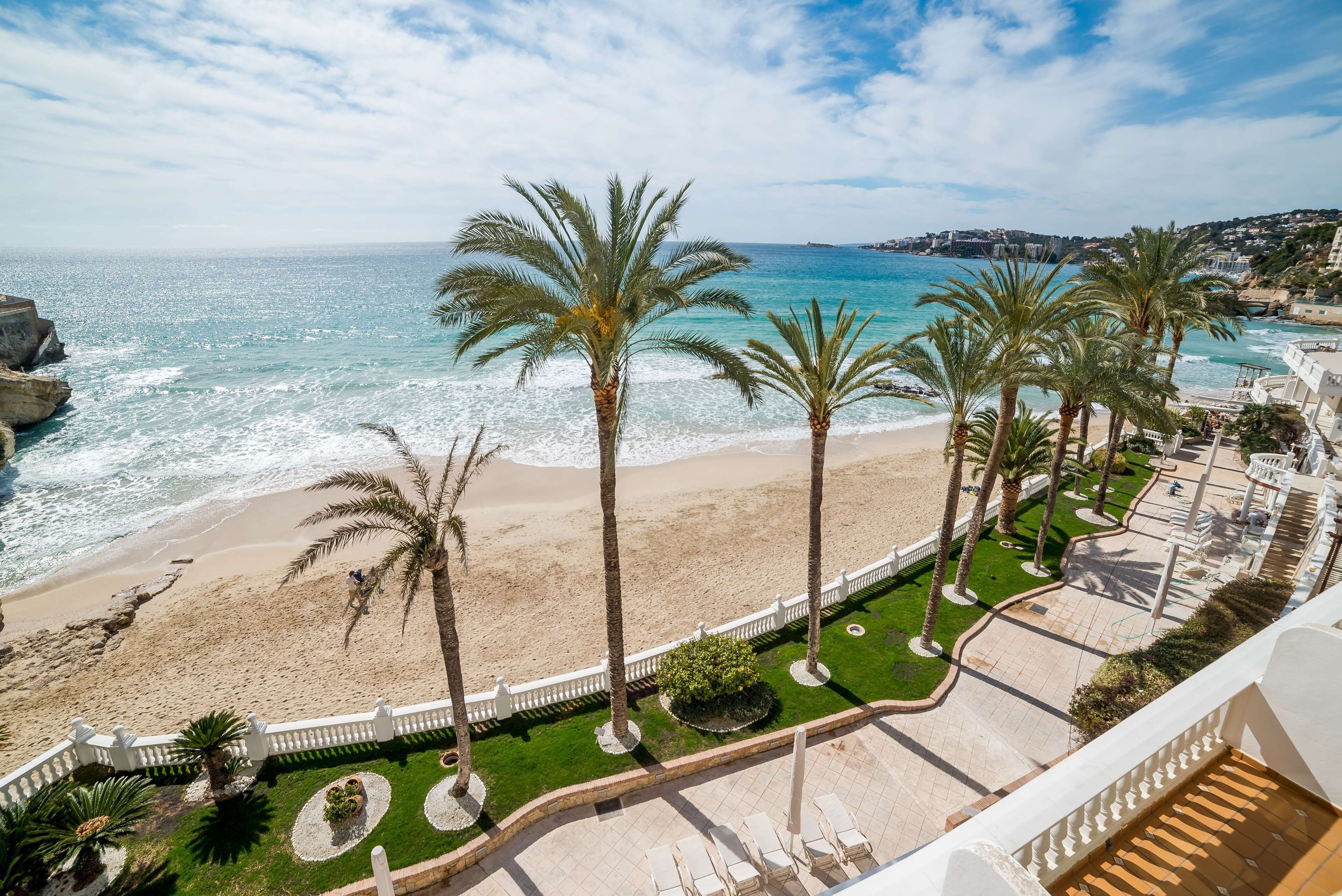 Une vue sur la plage, avec des palmiers, une clôture blanche et une promenade dallée.