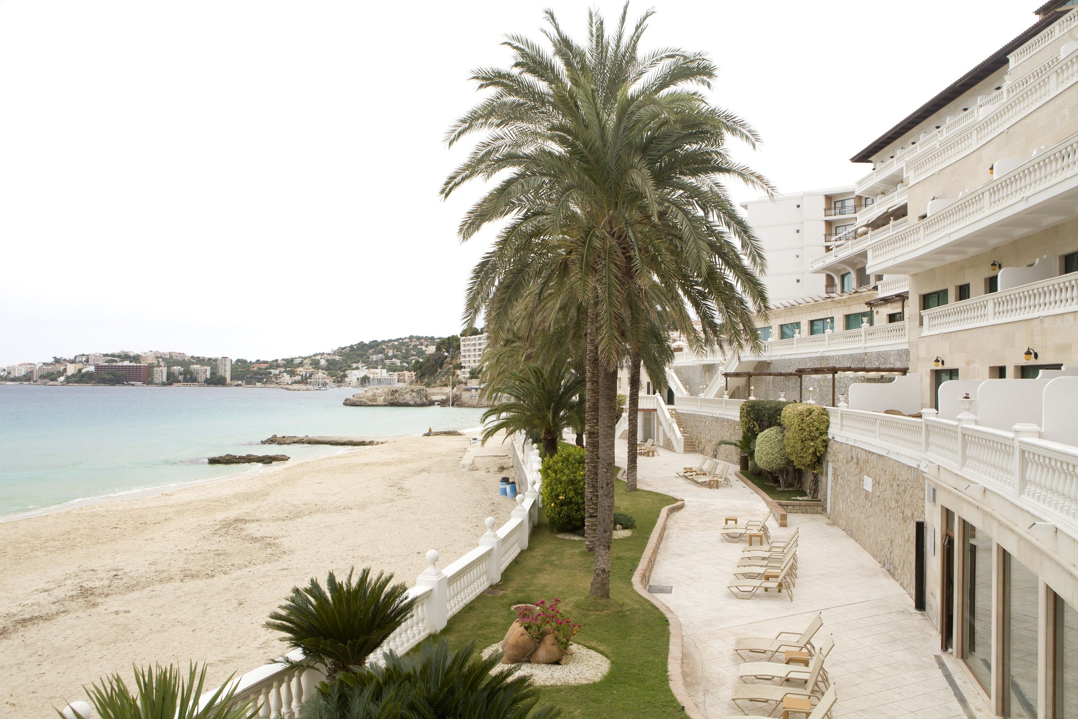 Hotel frente al mar con una palmera, playa y vista al océano.