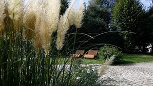 A cobblestone path leading to a wooden structure in a garden with tall grasses and trees in the background. - Hotel Bayerischer Hof Miesbach, BW Premier Collection (Miesbach)