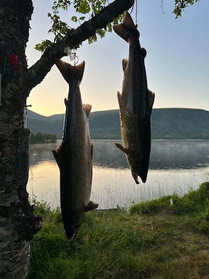 Pesca