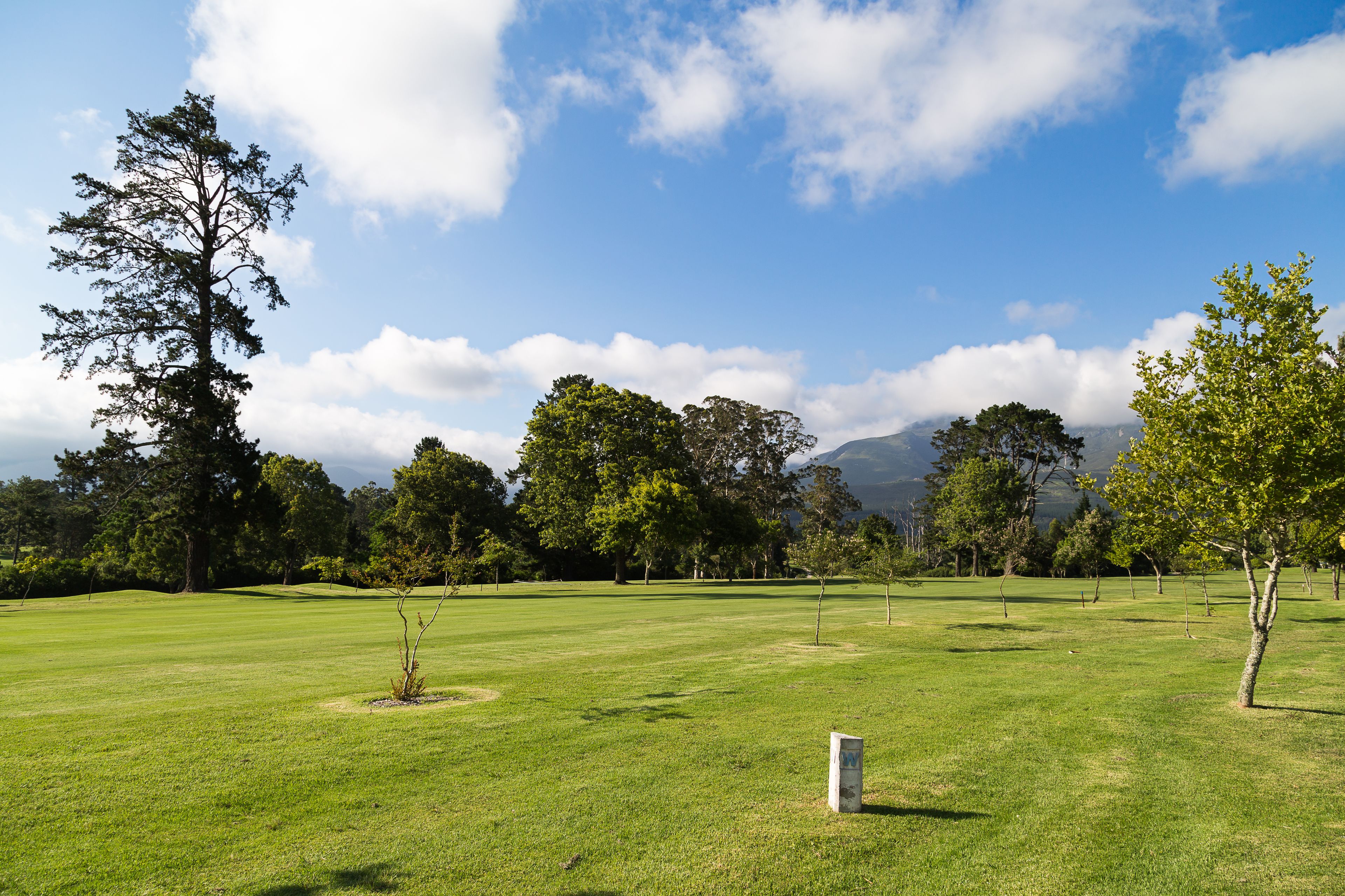 Un campo de golf con cielo despejado, árboles y una cadena montañosa a lo lejos.