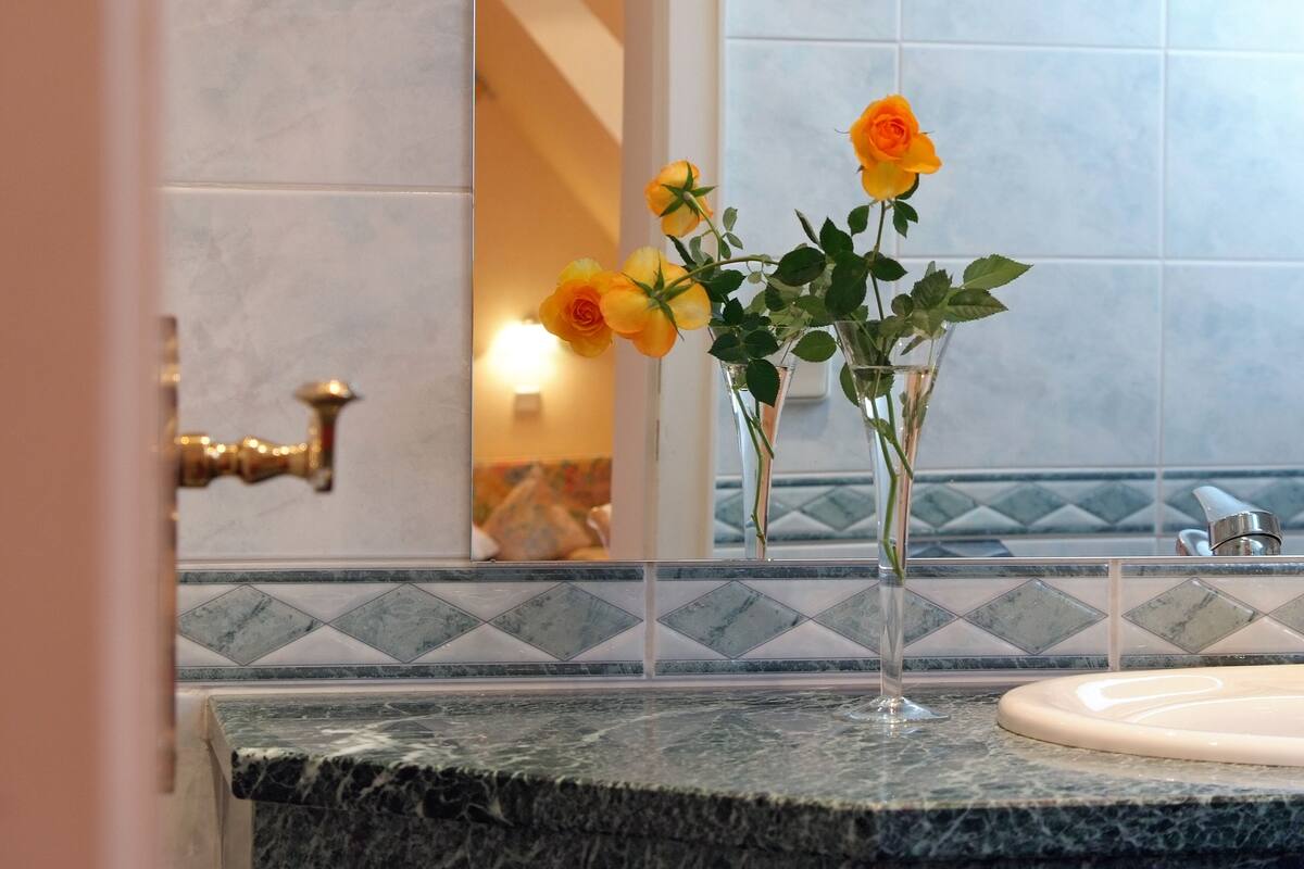 classic double room | bathroom | free toiletries, hair dryer, towels, soap