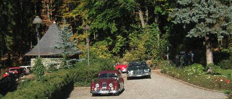 A cobblestone path with vintage cars parked on the side.