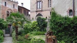A courtyard with a stone pathway, lush greenery, and a large tree stump.