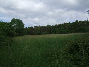 Hiking