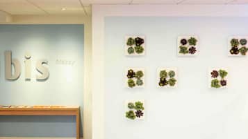 Un área de recepción con pared azul claro, un banco de madera y una exhibición de suculentas en la pared.