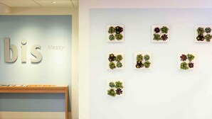 Un área de recepción con pared azul claro, un banco de madera y una exhibición de suculentas en la pared.